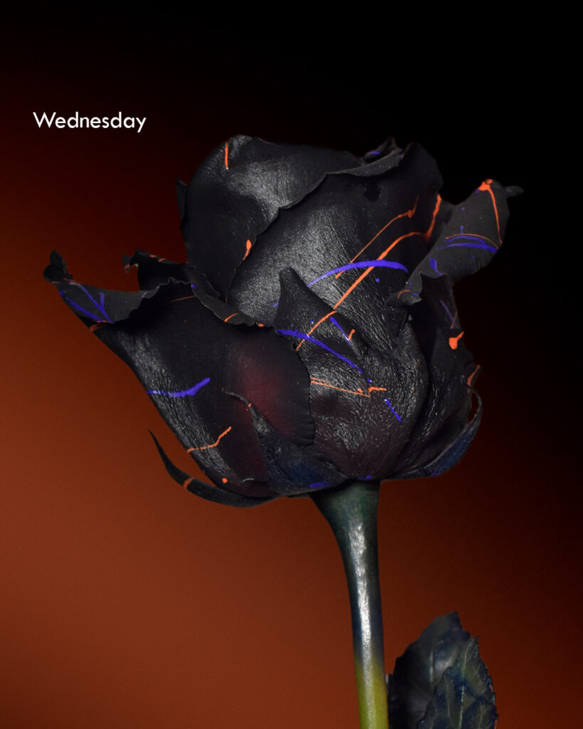 wednesday_03