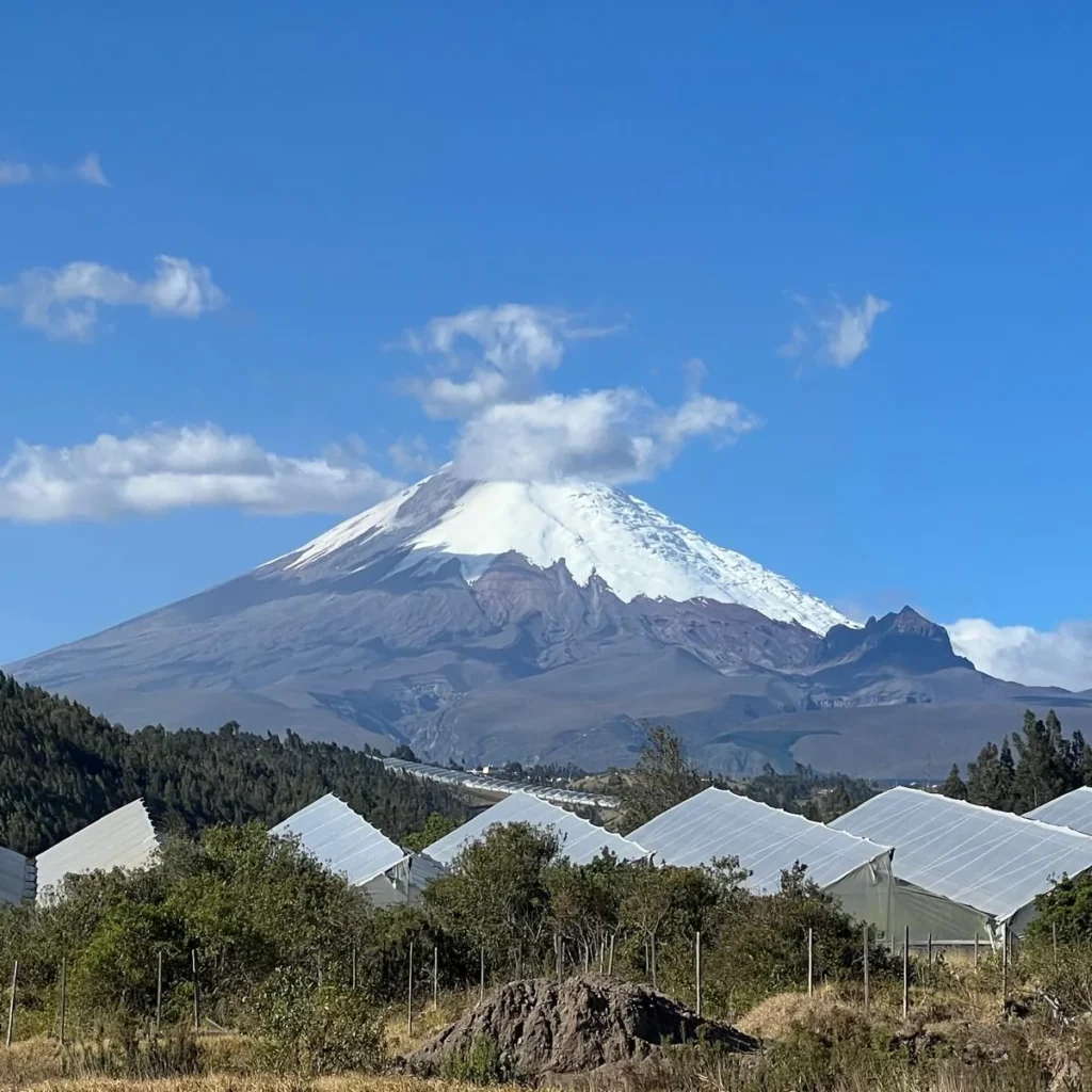 cotopaxi-volcano-evergreen-greenhouses-2920m.webp